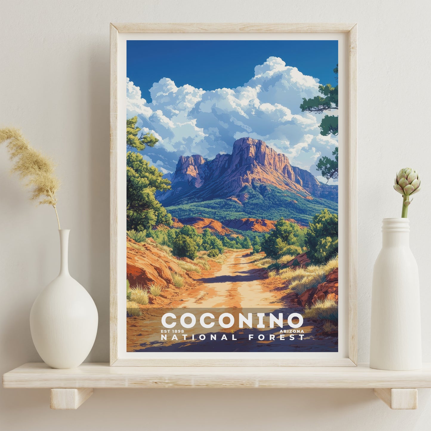 Coconino National Forest Poster | S02