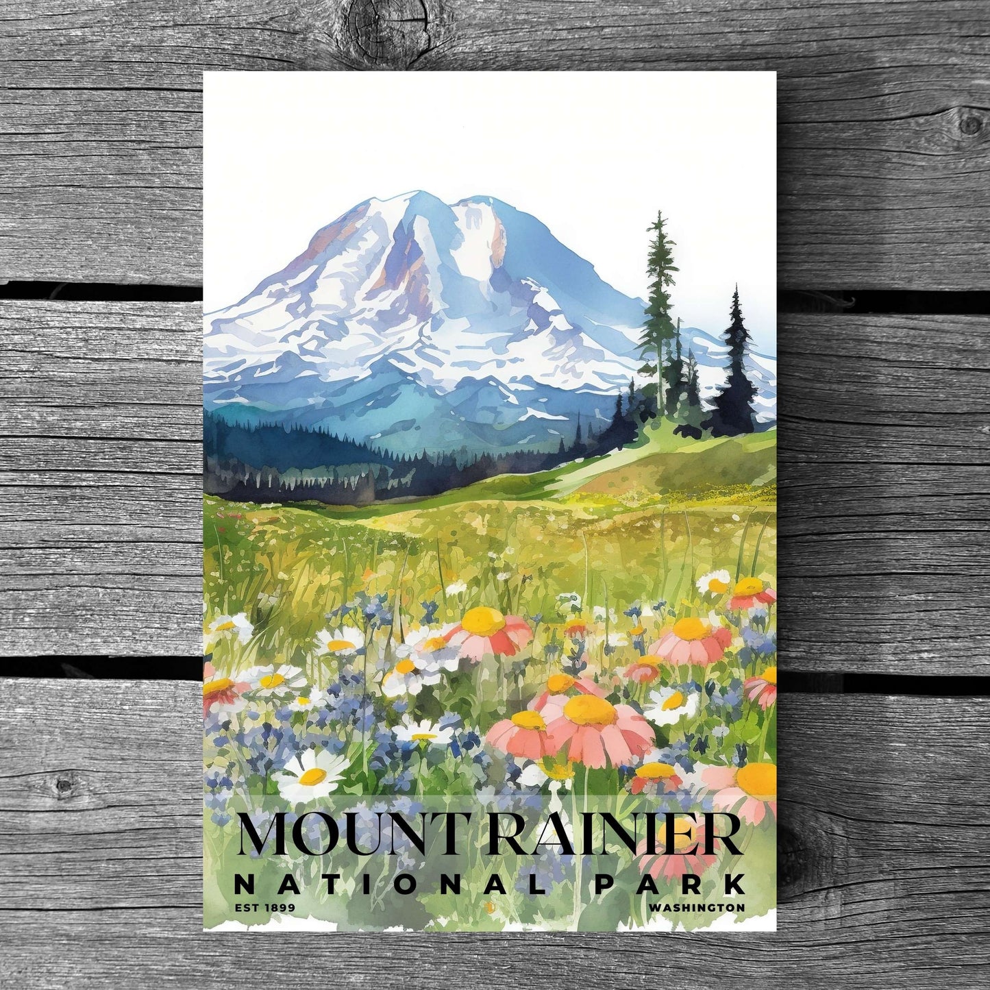 Mount Rainier National Park Poster | S04