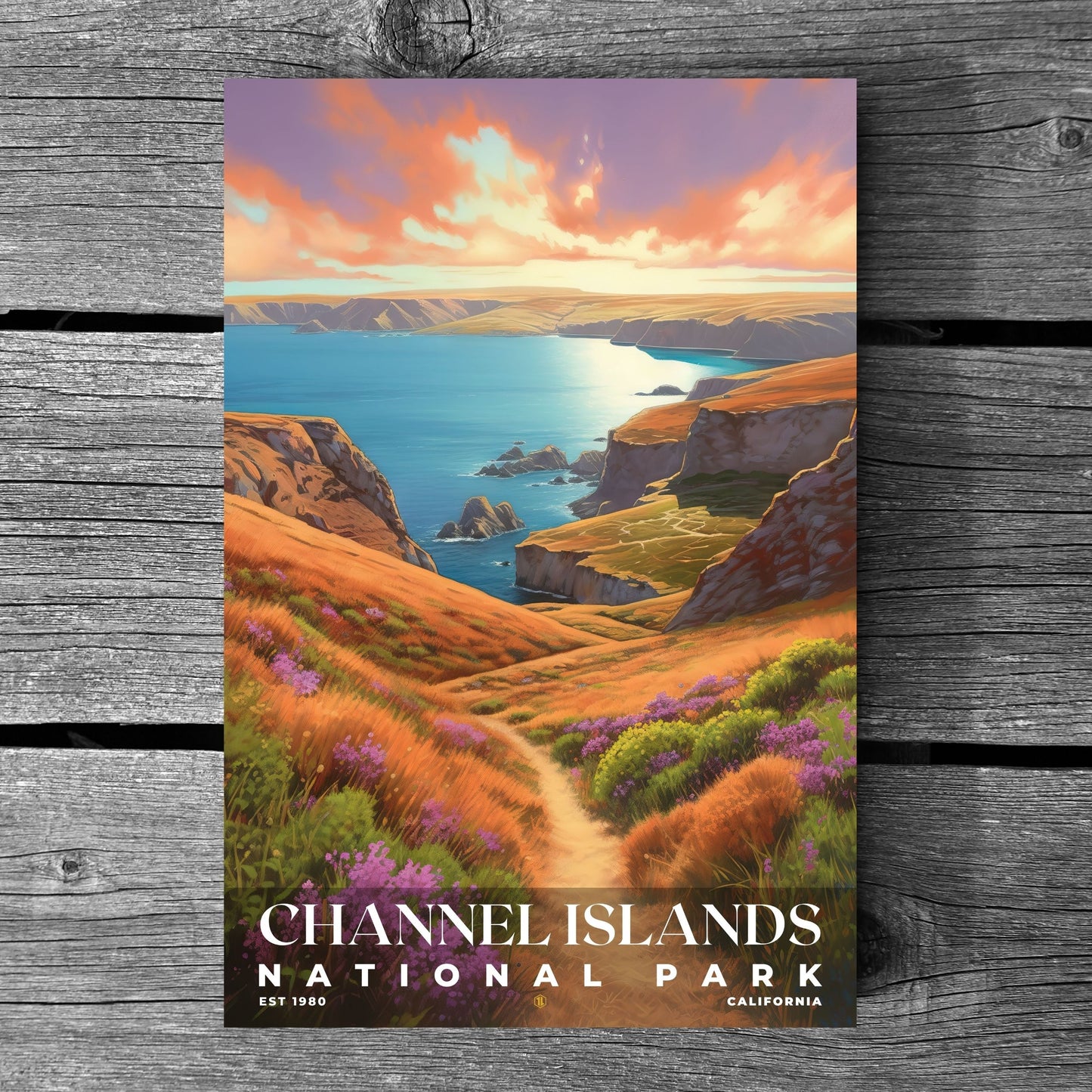 Channel Islands National Park Poster | S02