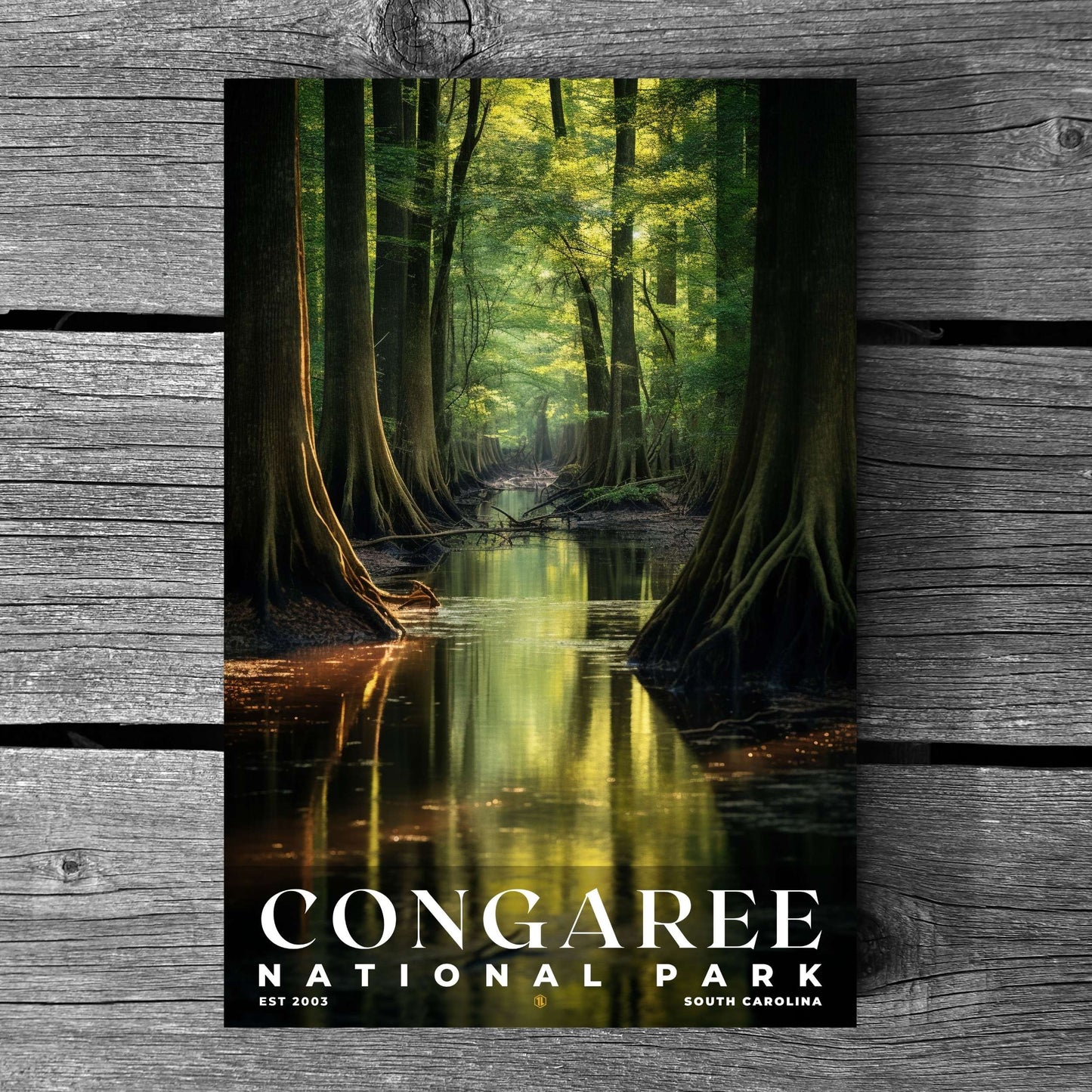 Congaree National Park Poster | S10