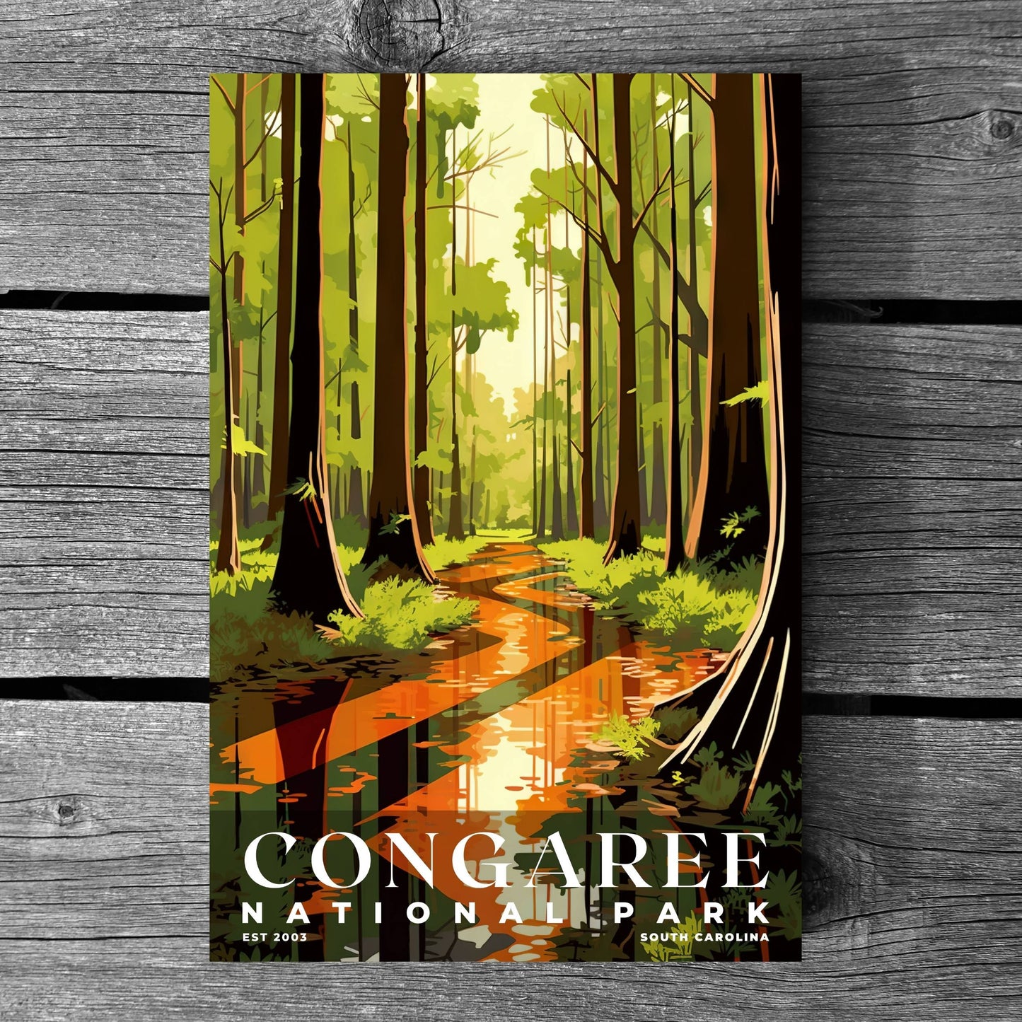 Congaree National Park Poster | S03