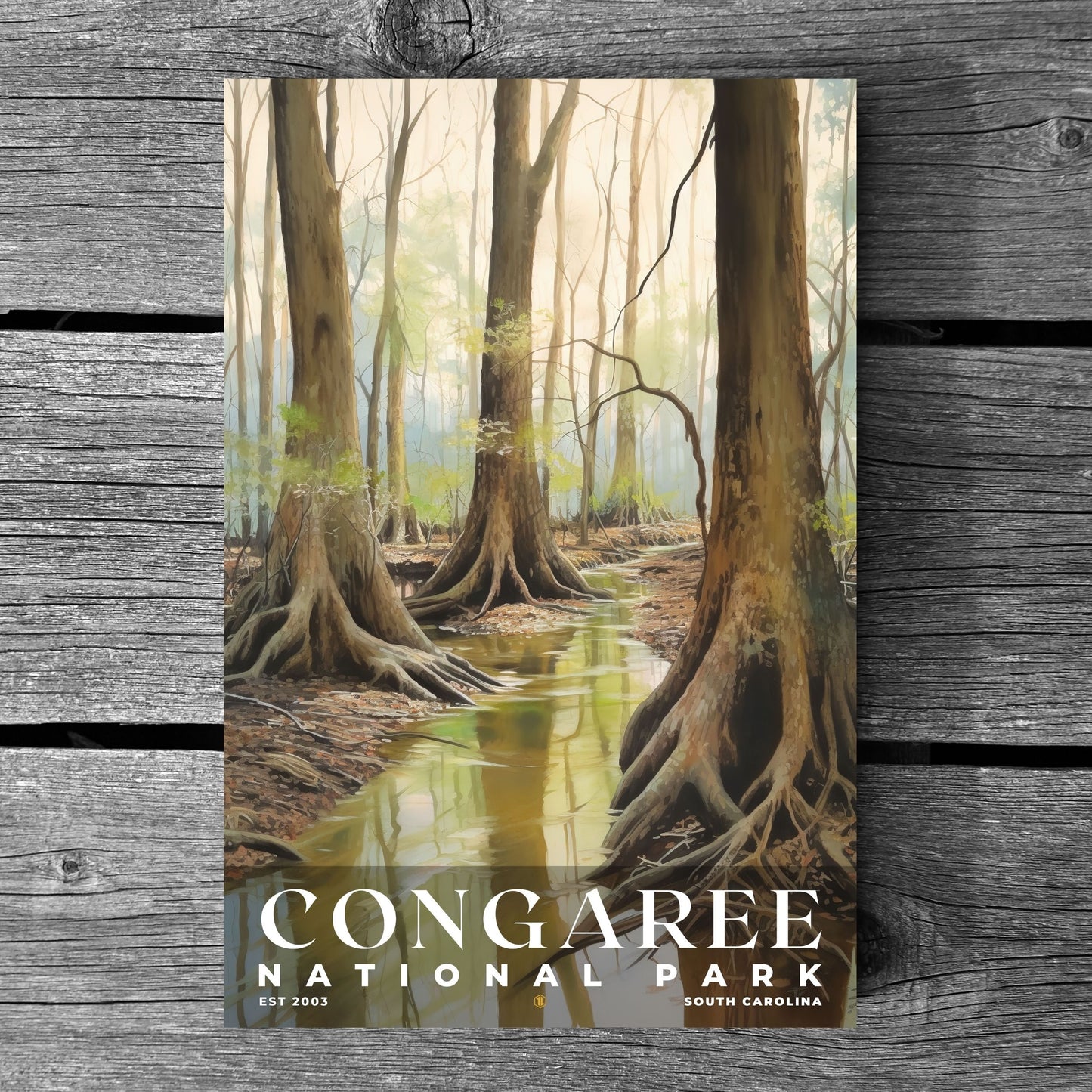 Congaree National Park Poster | S02