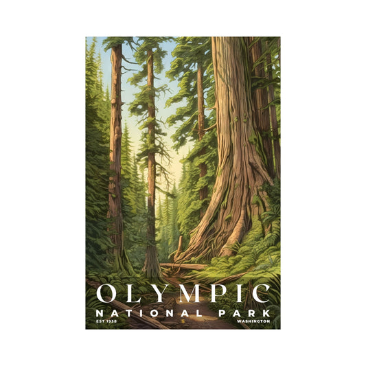 Olympic National Park Poster | S02