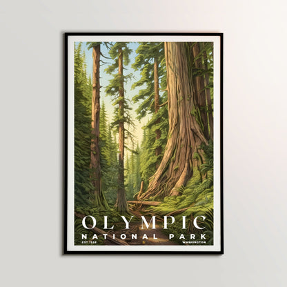 Olympic National Park Poster | S02