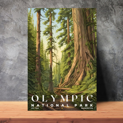 Olympic National Park Poster | S02