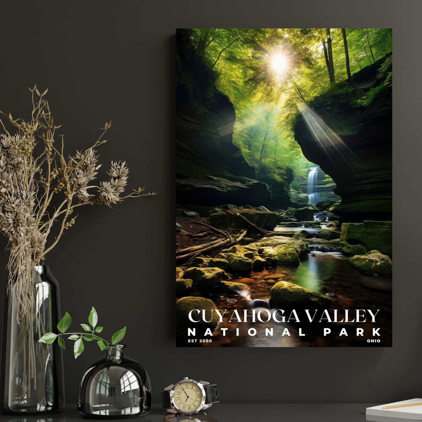 Cuyahoga Valley National Park Poster | S10