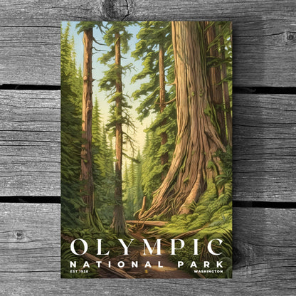 Olympic National Park Poster | S02