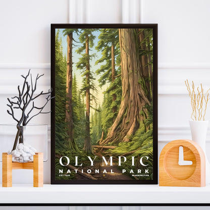 Olympic National Park Poster | S02