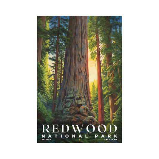 Redwood National and State Parks Poster | S02