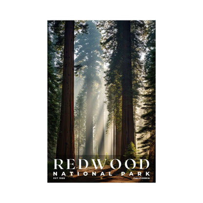 Redwood National and State Parks Poster | S10