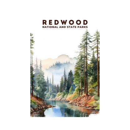 Redwood National and State Parks Poster | S08