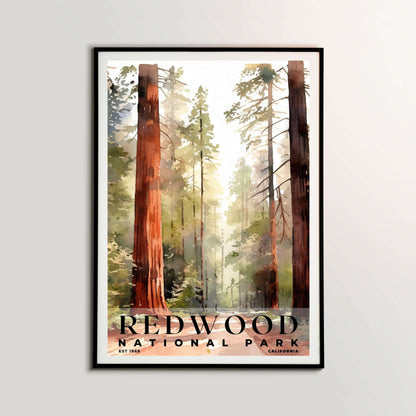 Redwood National and State Parks Poster | S04