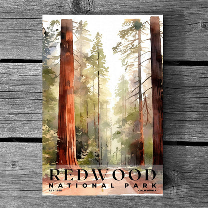 Redwood National and State Parks Poster | S04