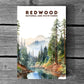 Redwood National and State Parks Poster | S08