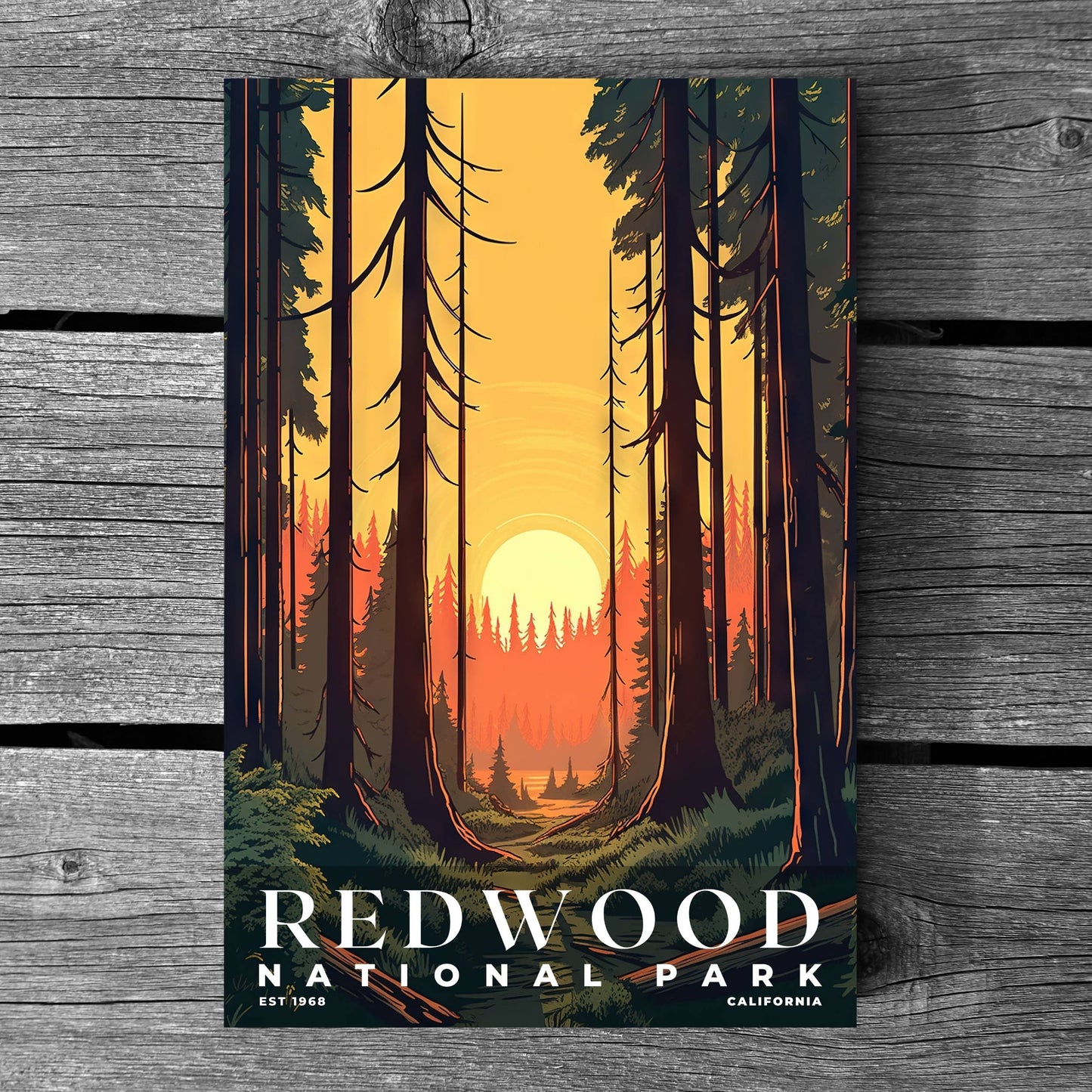 Redwood National and State Parks Poster | S03