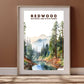 Redwood National and State Parks Poster | S08