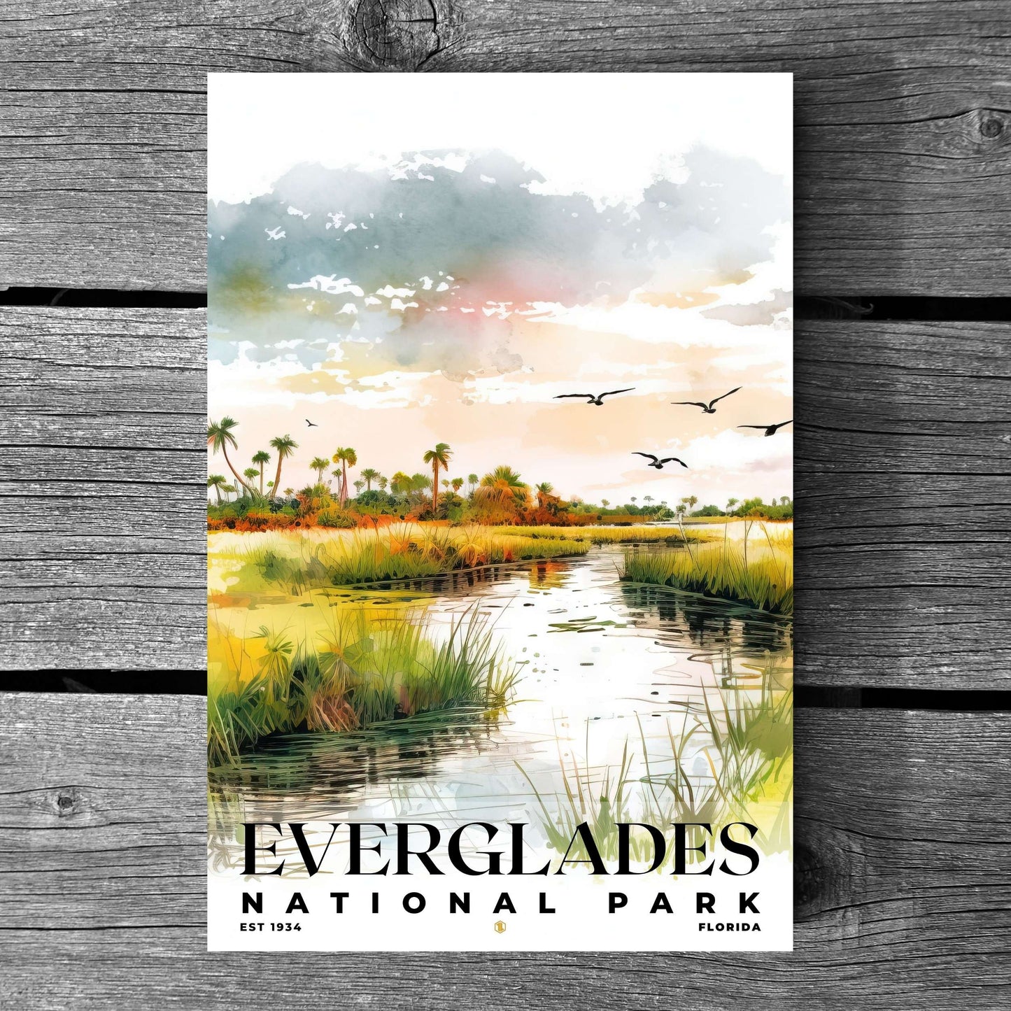 Everglades National Park Poster | S04