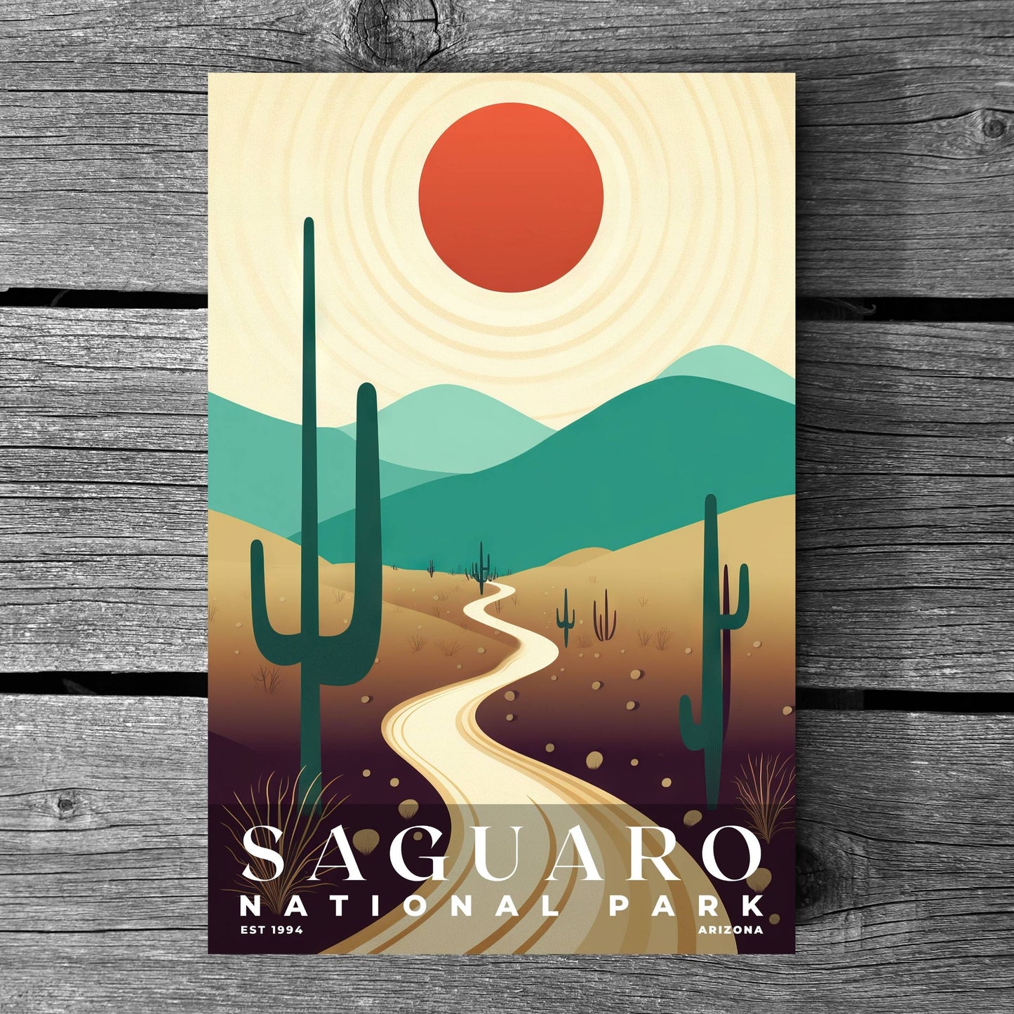 Saguaro National Park Poster | S03