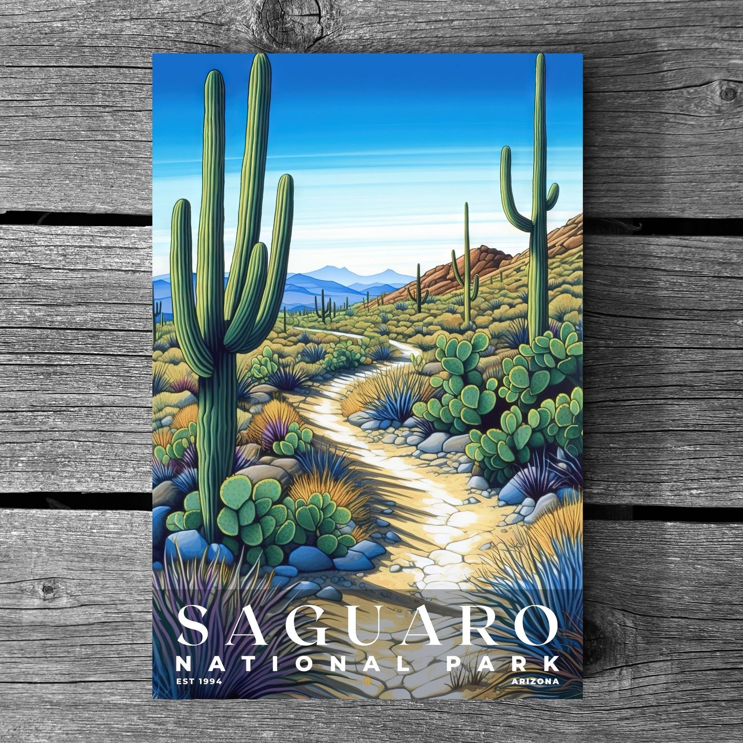 Saguaro National Park Poster | S02