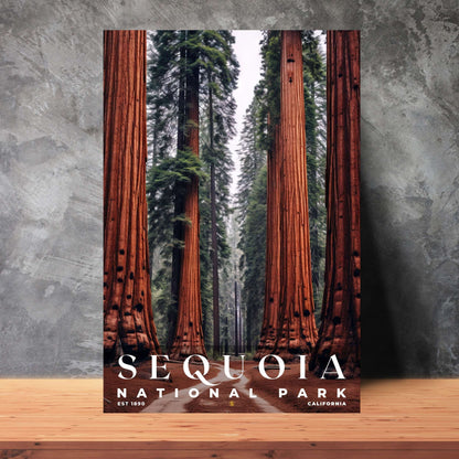 Sequoia National Park Poster | S10