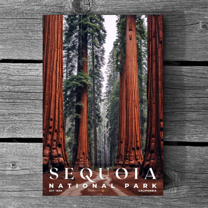 Sequoia National Park Poster | S10