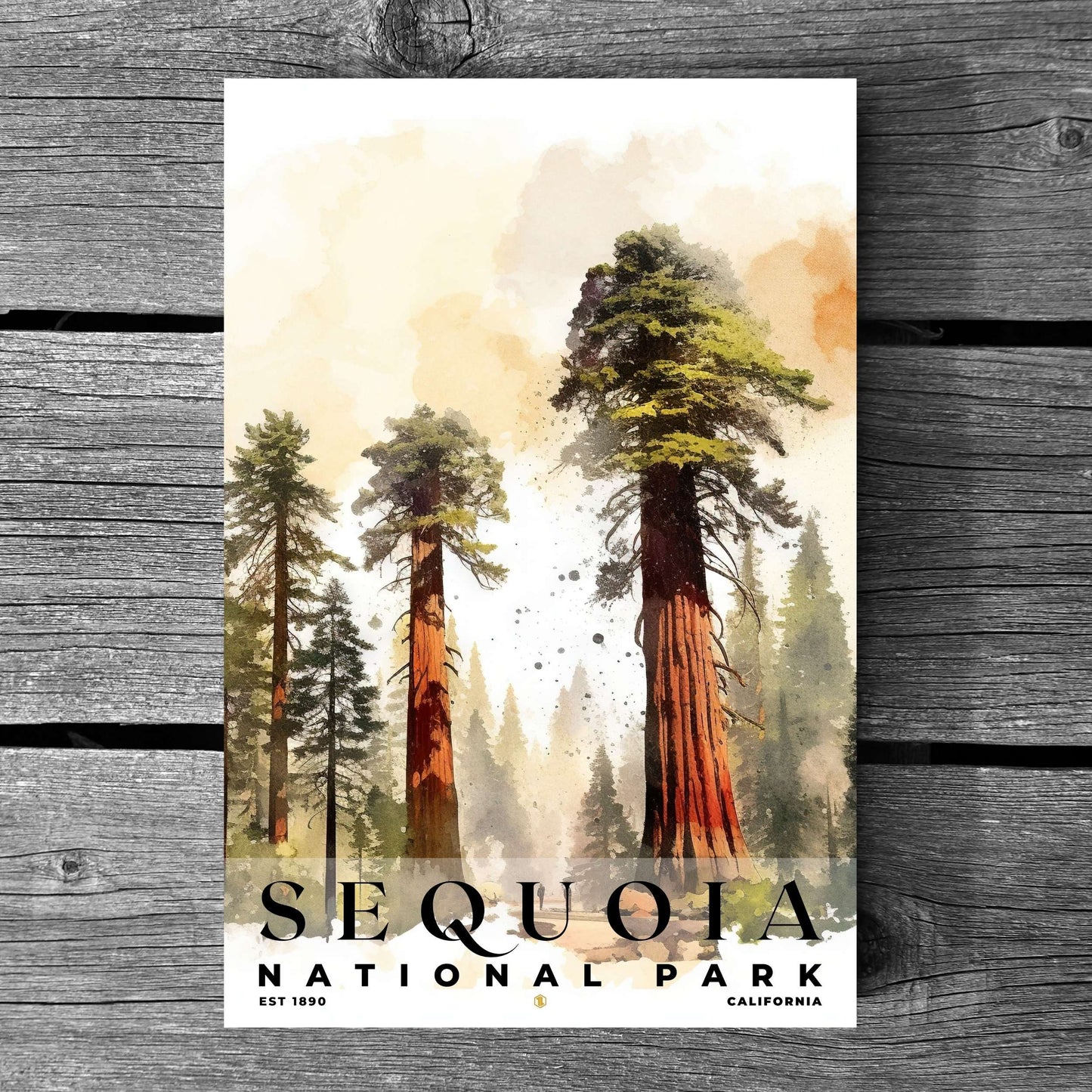 Sequoia National Park Poster | S04