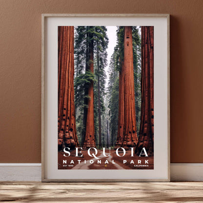 Sequoia National Park Poster | S10