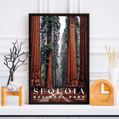 Sequoia National Park Poster | S10