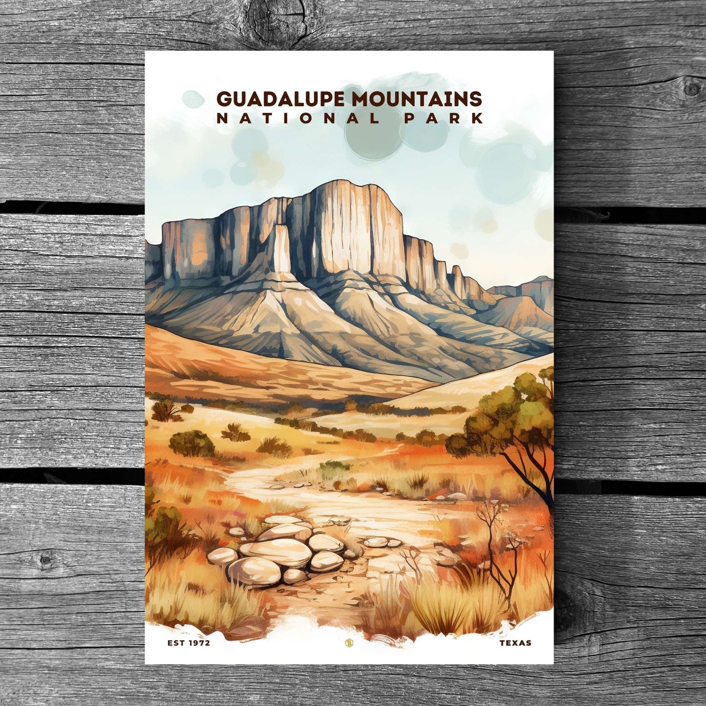 Guadalupe Mountains National Park Poster | S08