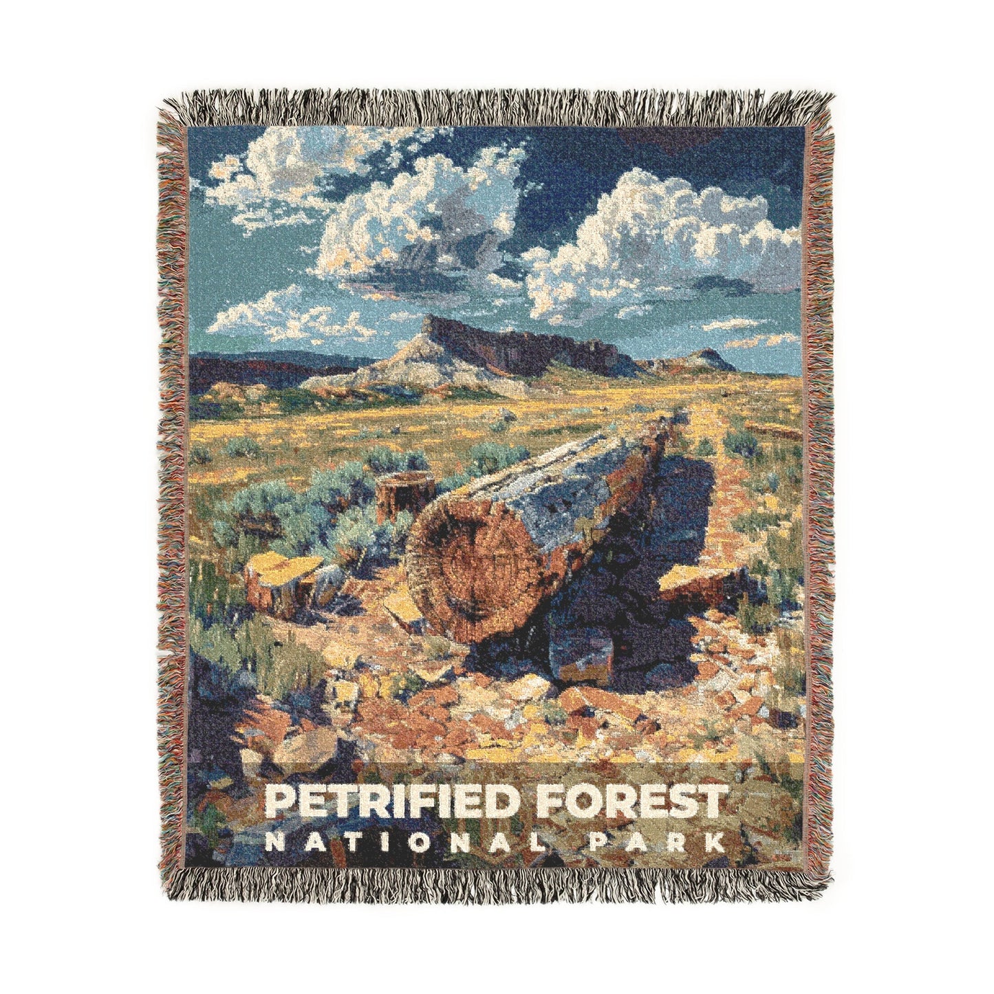 Petrified Forest National Park Woven Blanket | S14