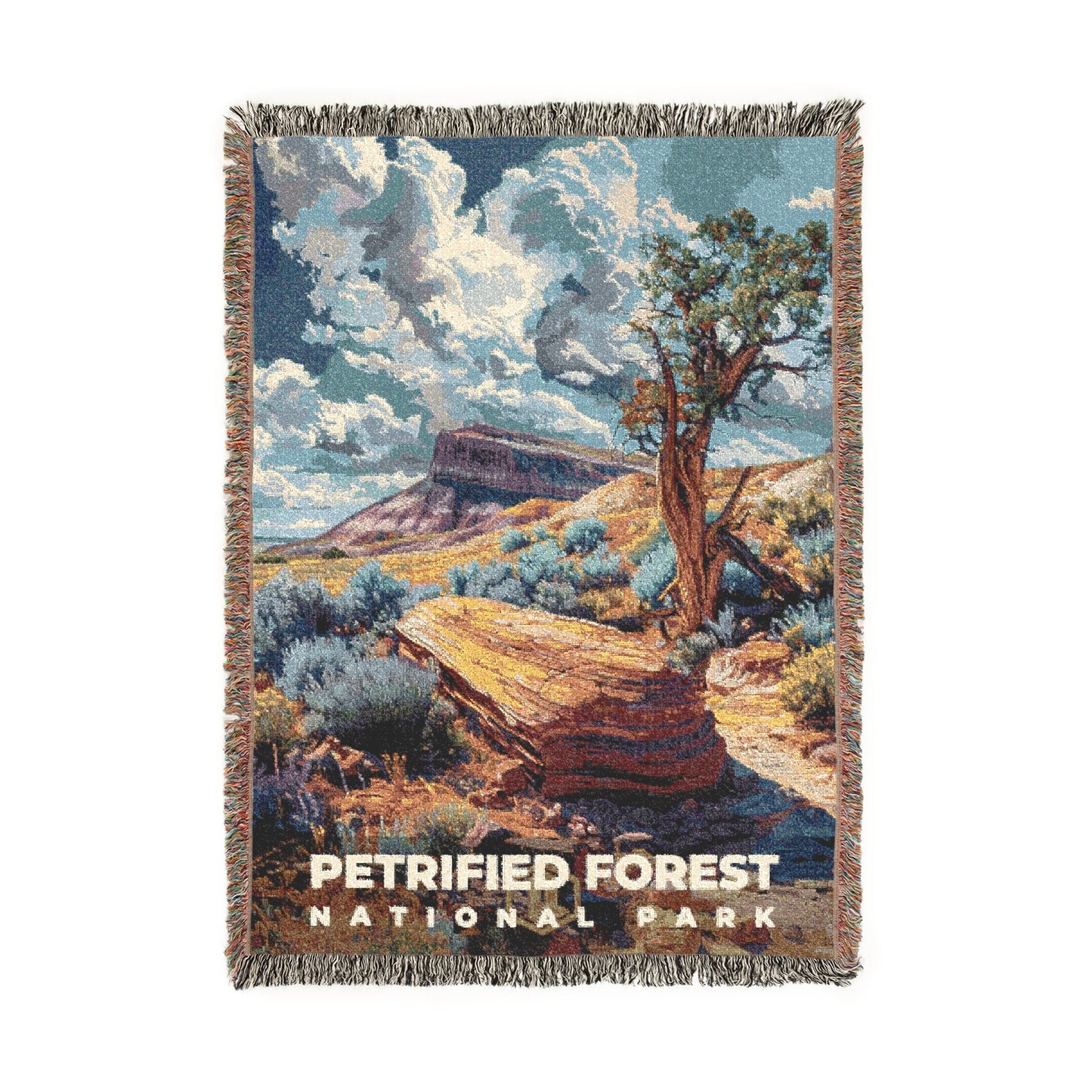 Petrified Forest National Park Woven Blanket | S18