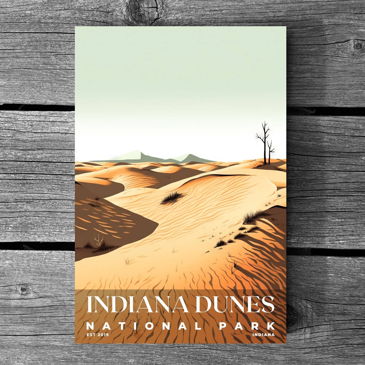 Indiana Dunes National Park Poster | S03