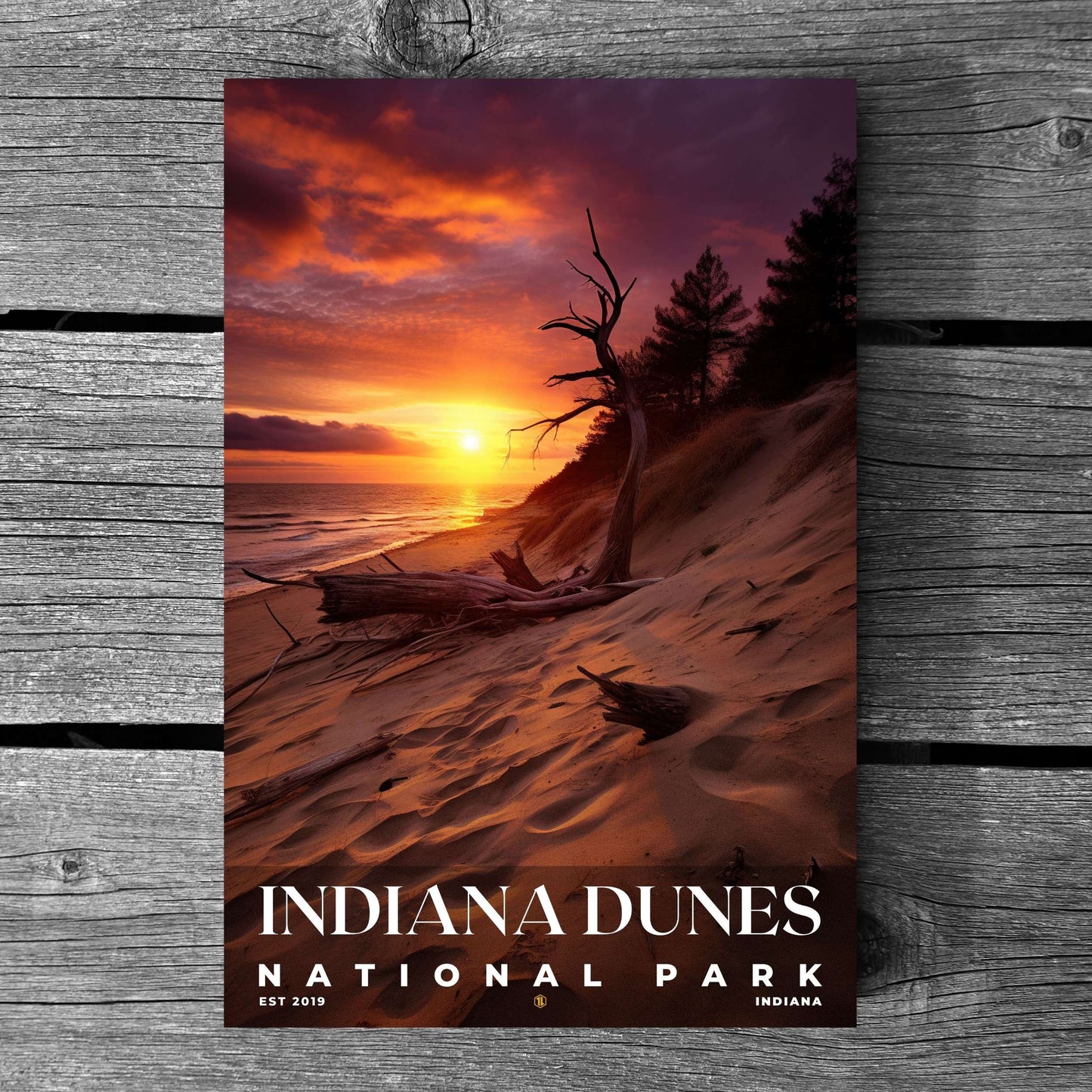 Indiana Dunes National Park Poster | S10