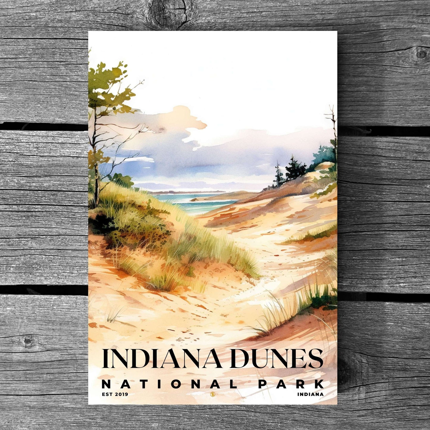 Indiana Dunes National Park Poster | S04