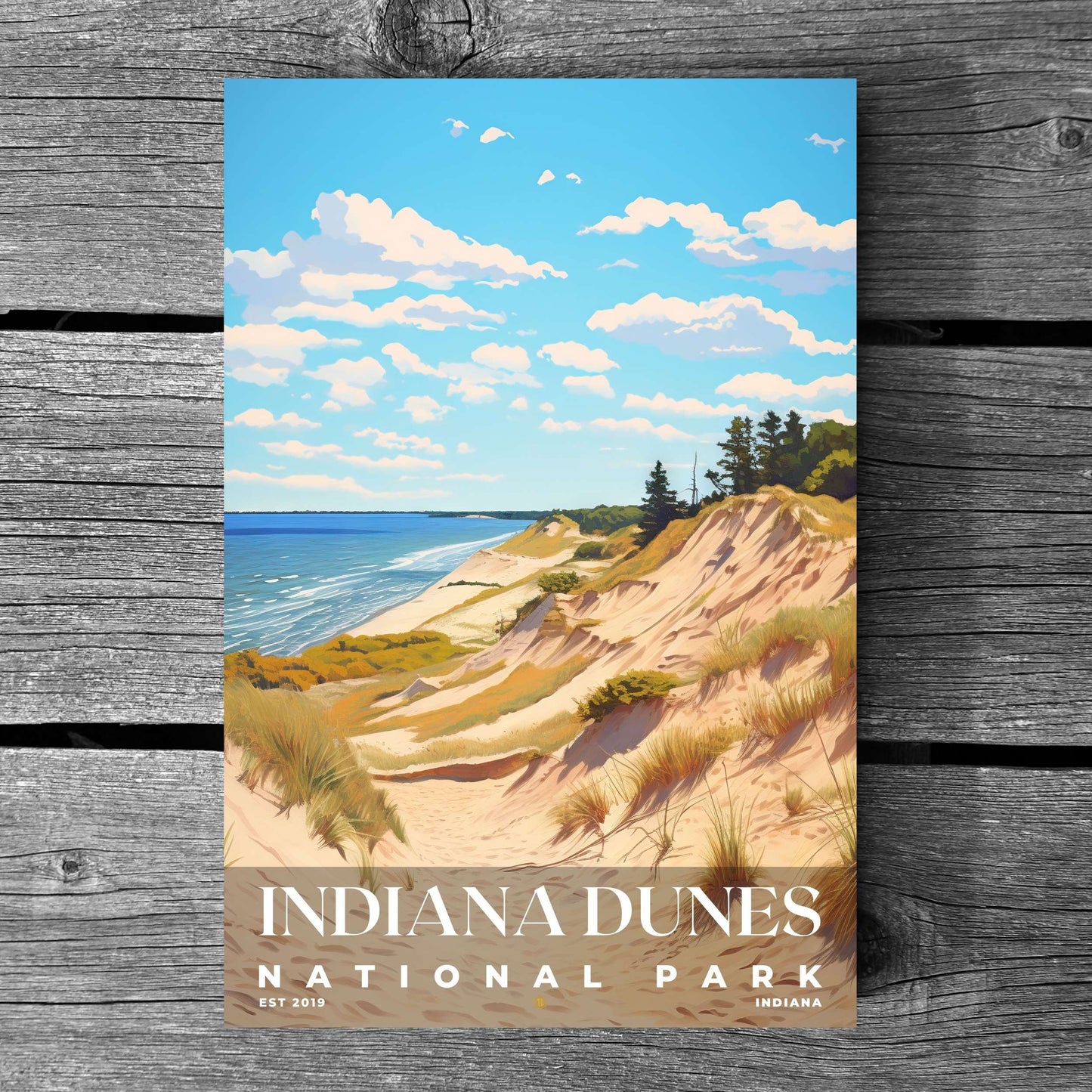 Indiana Dunes National Park Poster | S06