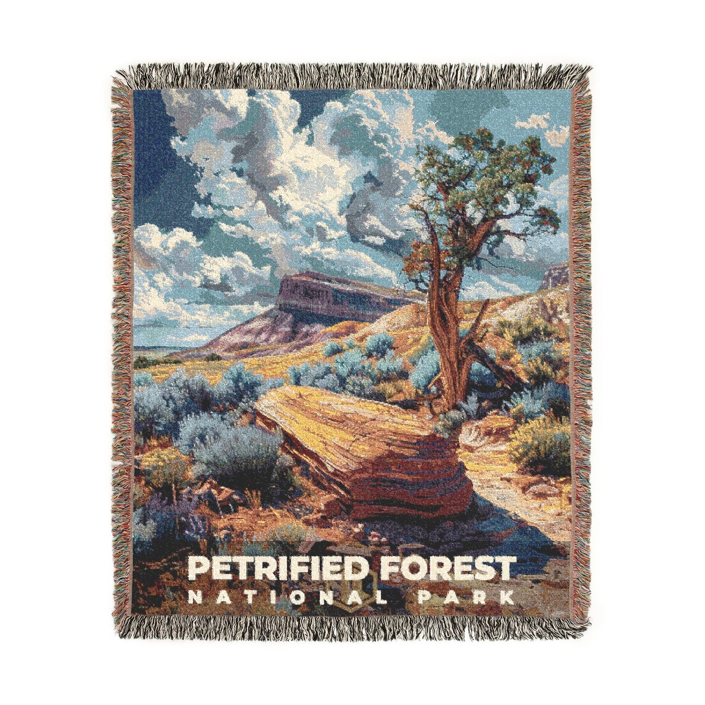 Petrified Forest National Park Woven Blanket | S18