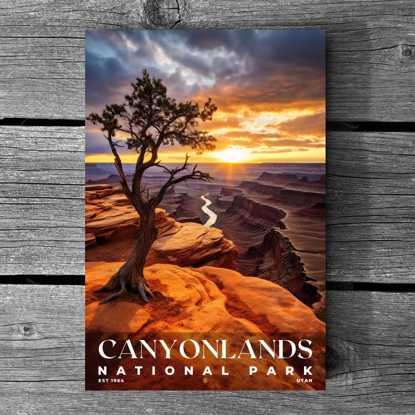 Canyonlands National Park Poster | S10