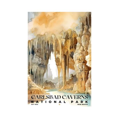 Carlsbad Caverns National Park Poster | S04