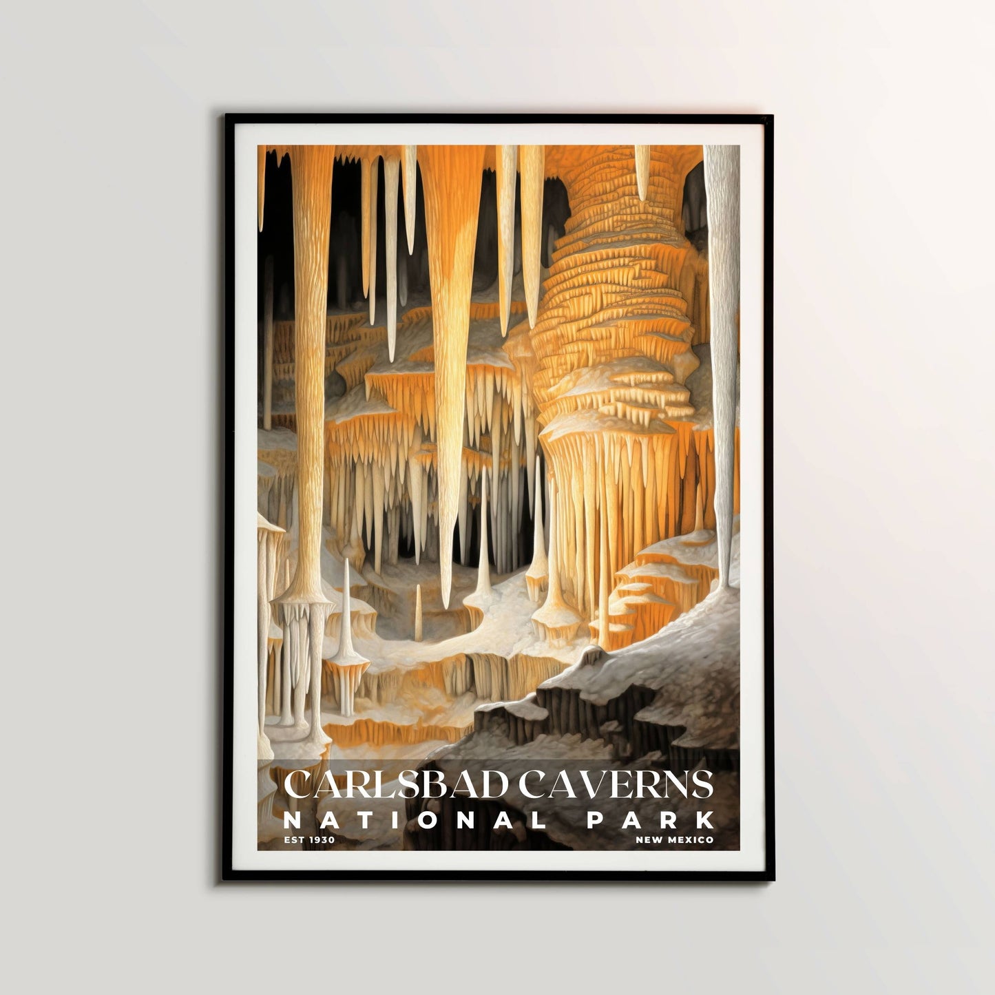 Carlsbad Caverns National Park Poster | S03