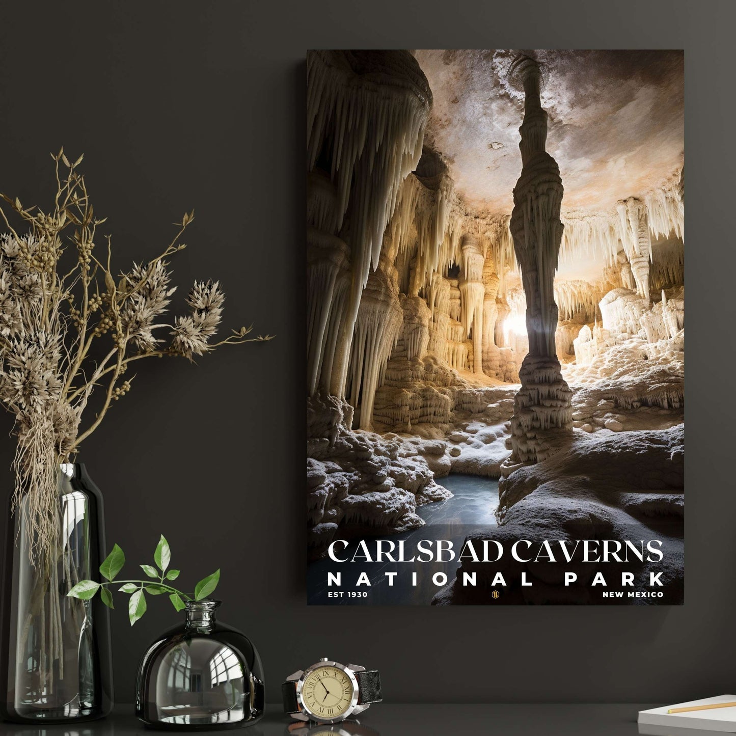 Carlsbad Caverns National Park Poster | S10