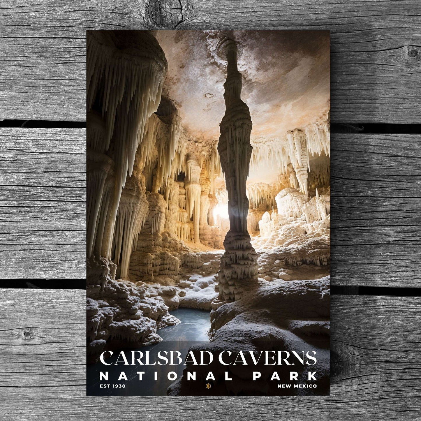 Carlsbad Caverns National Park Poster | S10