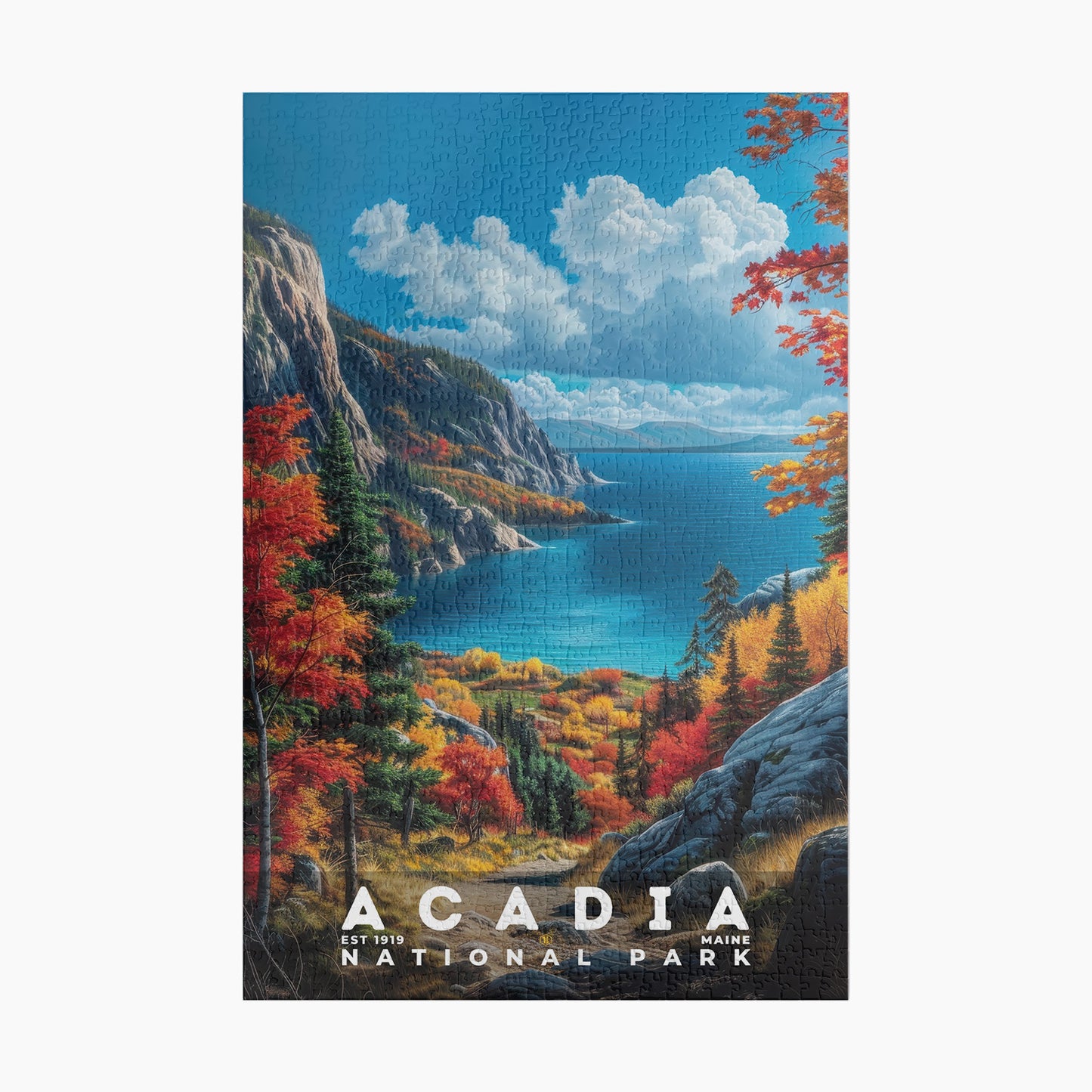 Acadia National Park Puzzle | S16