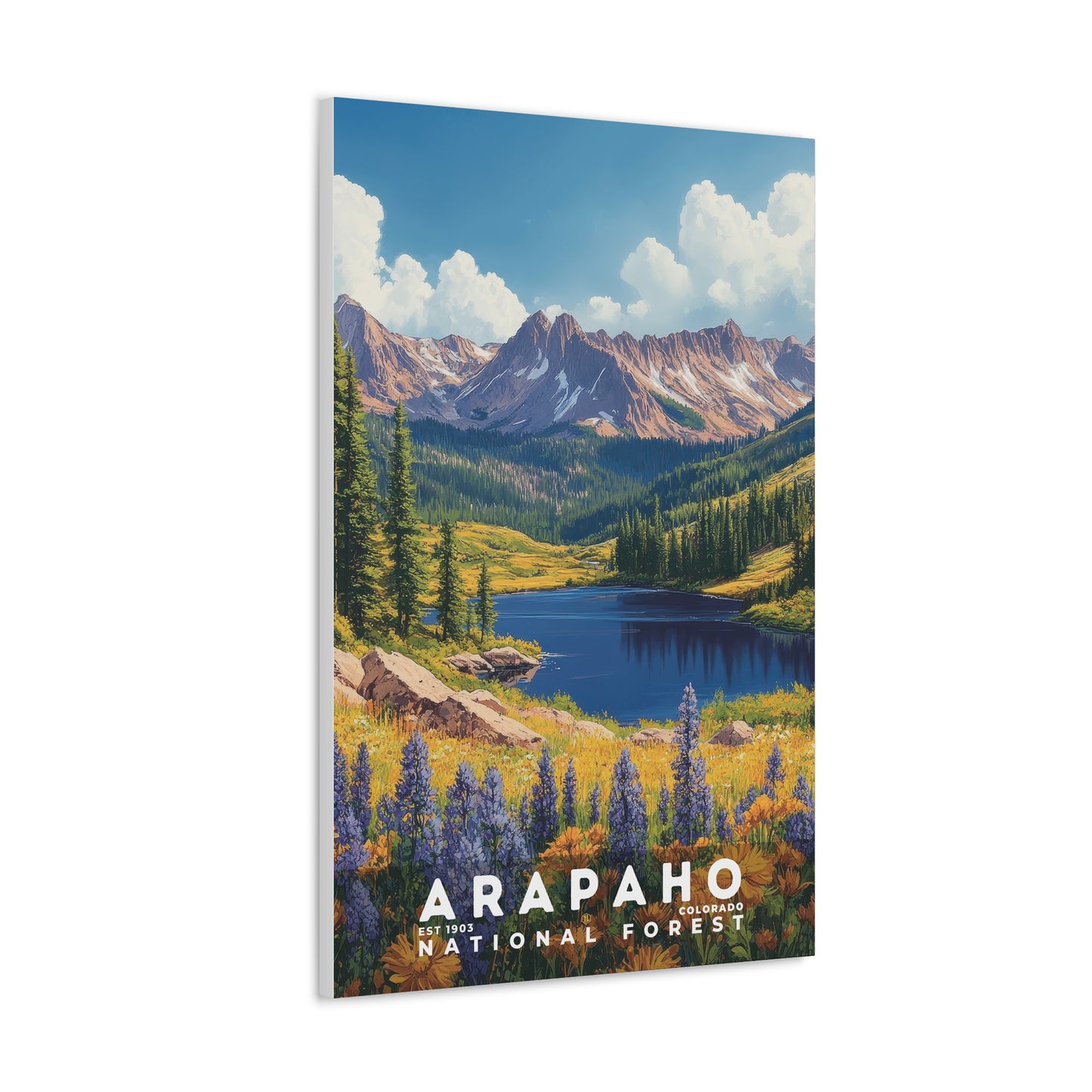 Arapaho National Forest Poster | S02