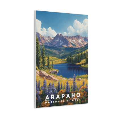 Arapaho National Forest Poster | S02
