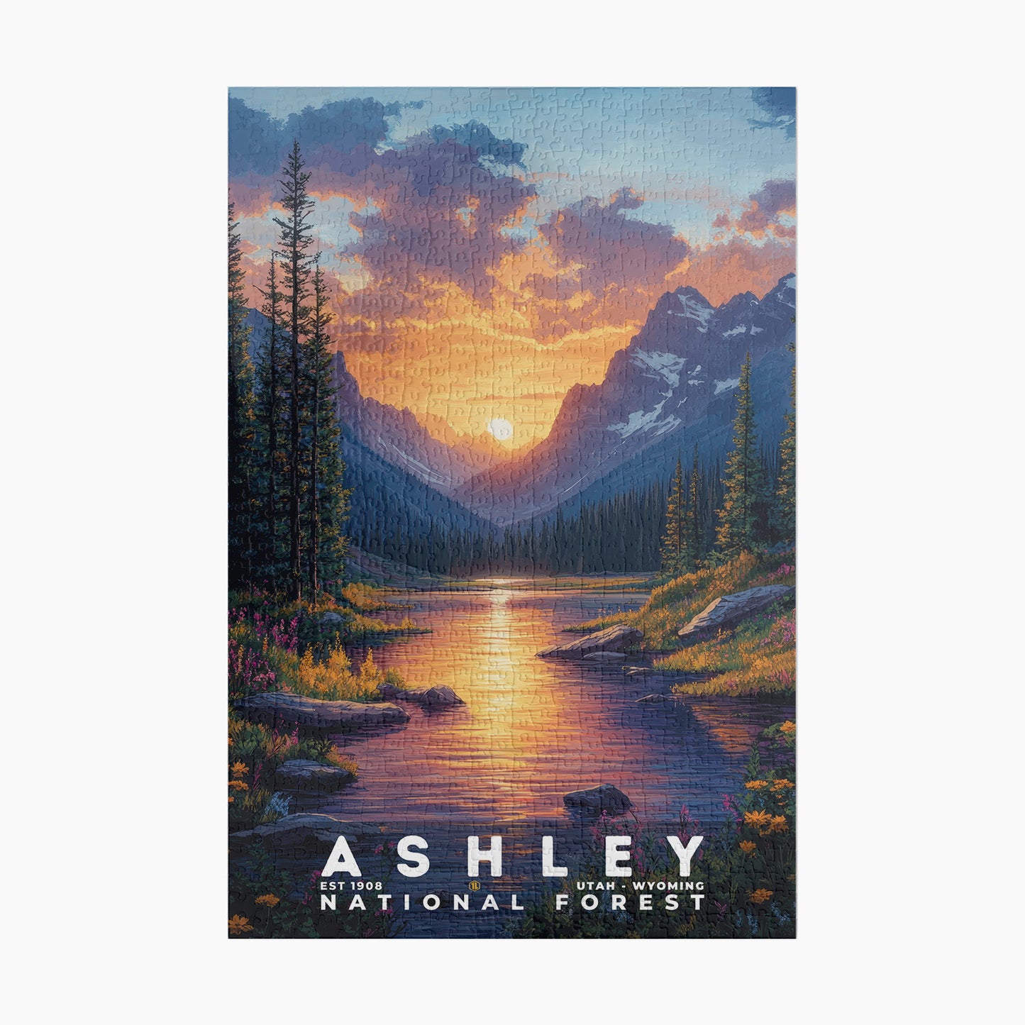 Ashley National Forest Puzzle | S02