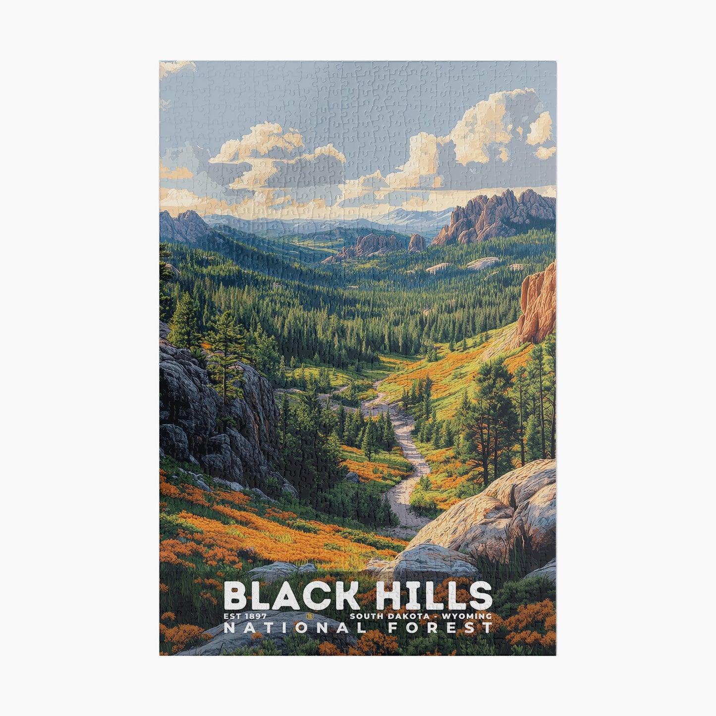 Black Hills National Forest Puzzle | S02