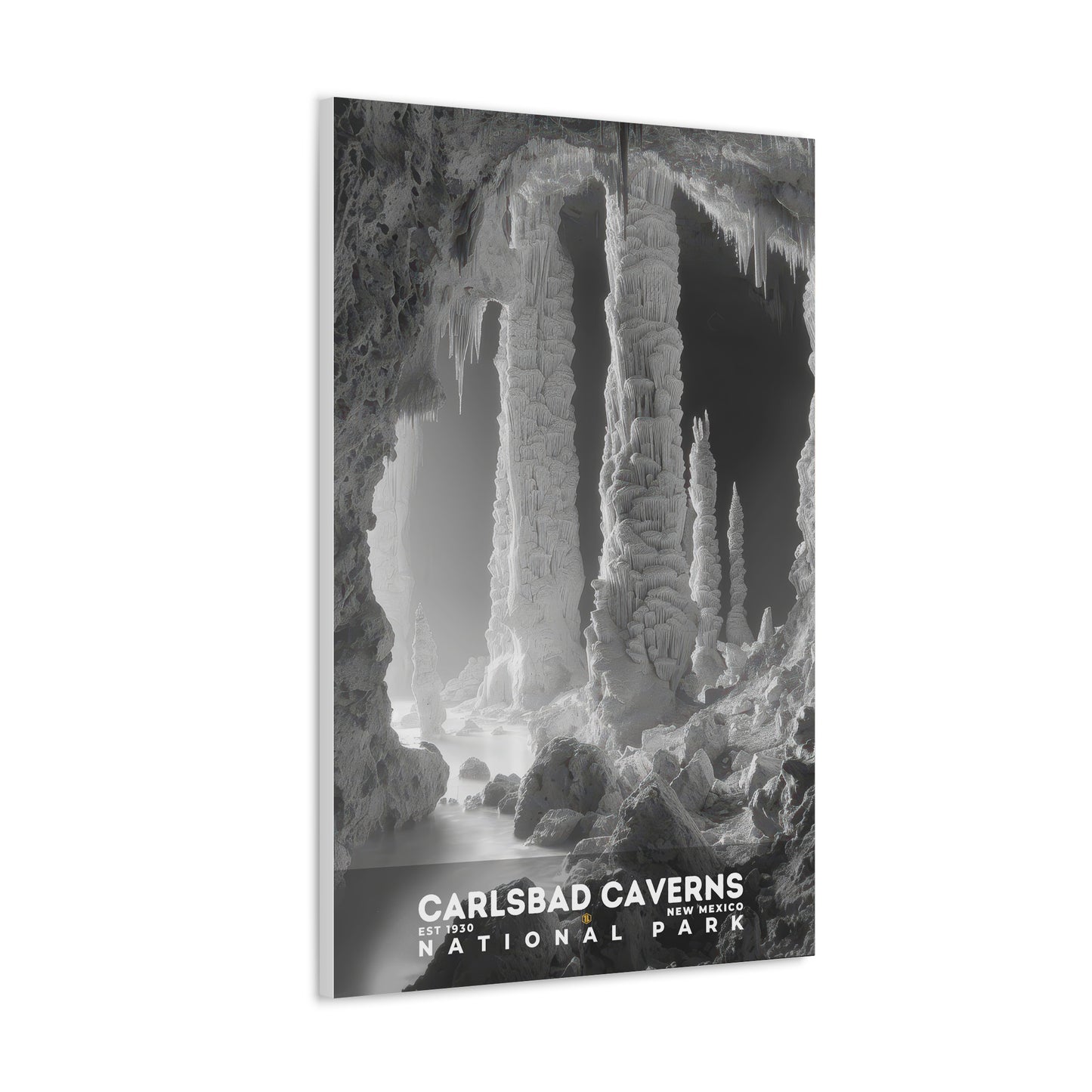 Carlsbad Caverns National Park Poster | S15