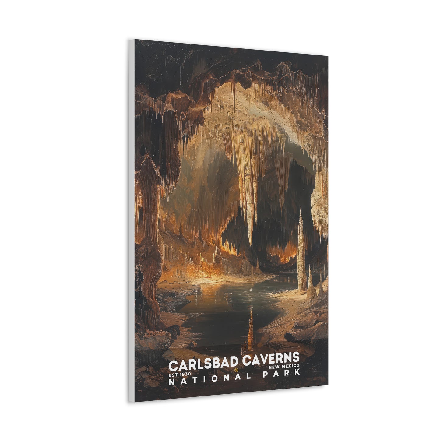 Carlsbad Caverns National Park Poster | S14