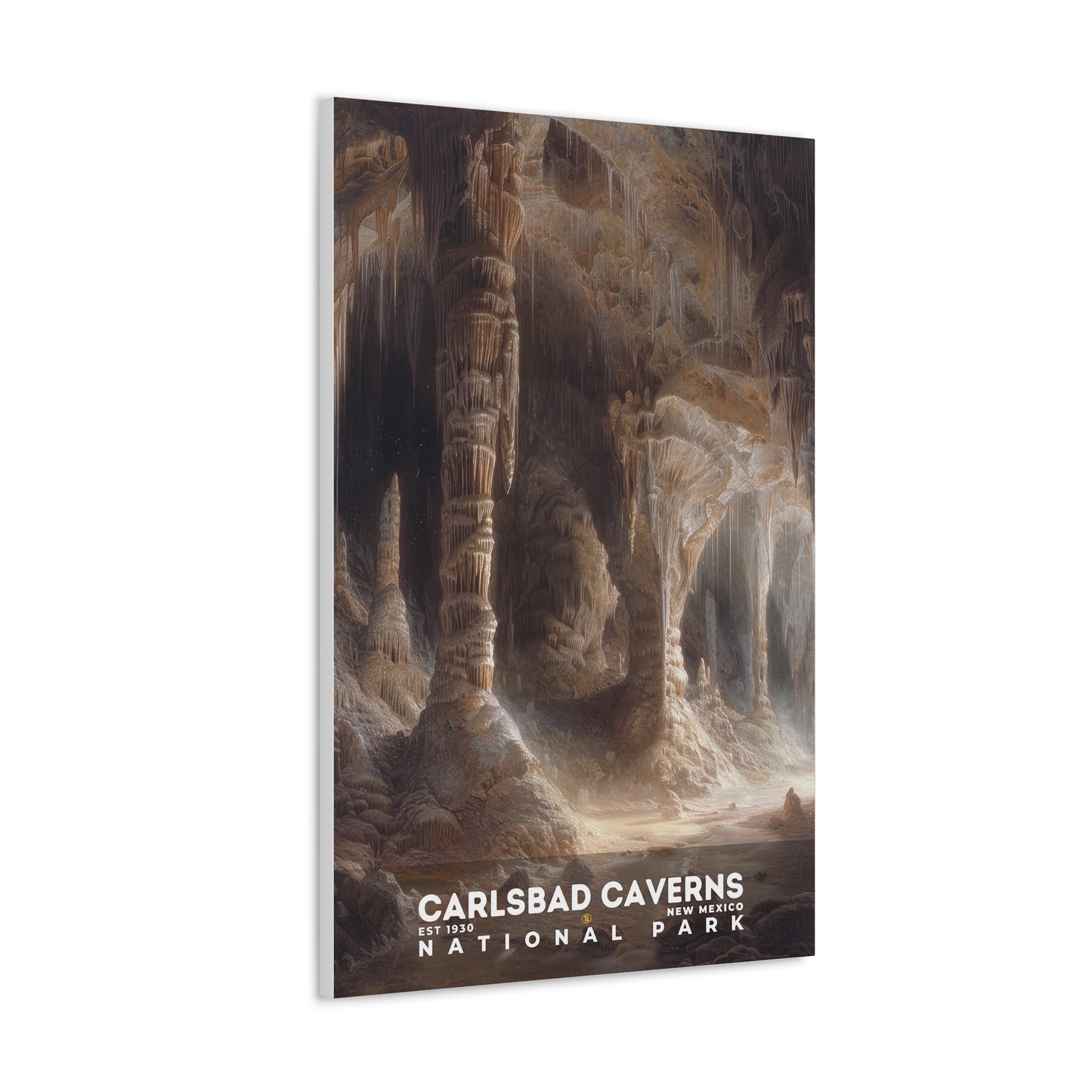 Carlsbad Caverns National Park Poster | S12