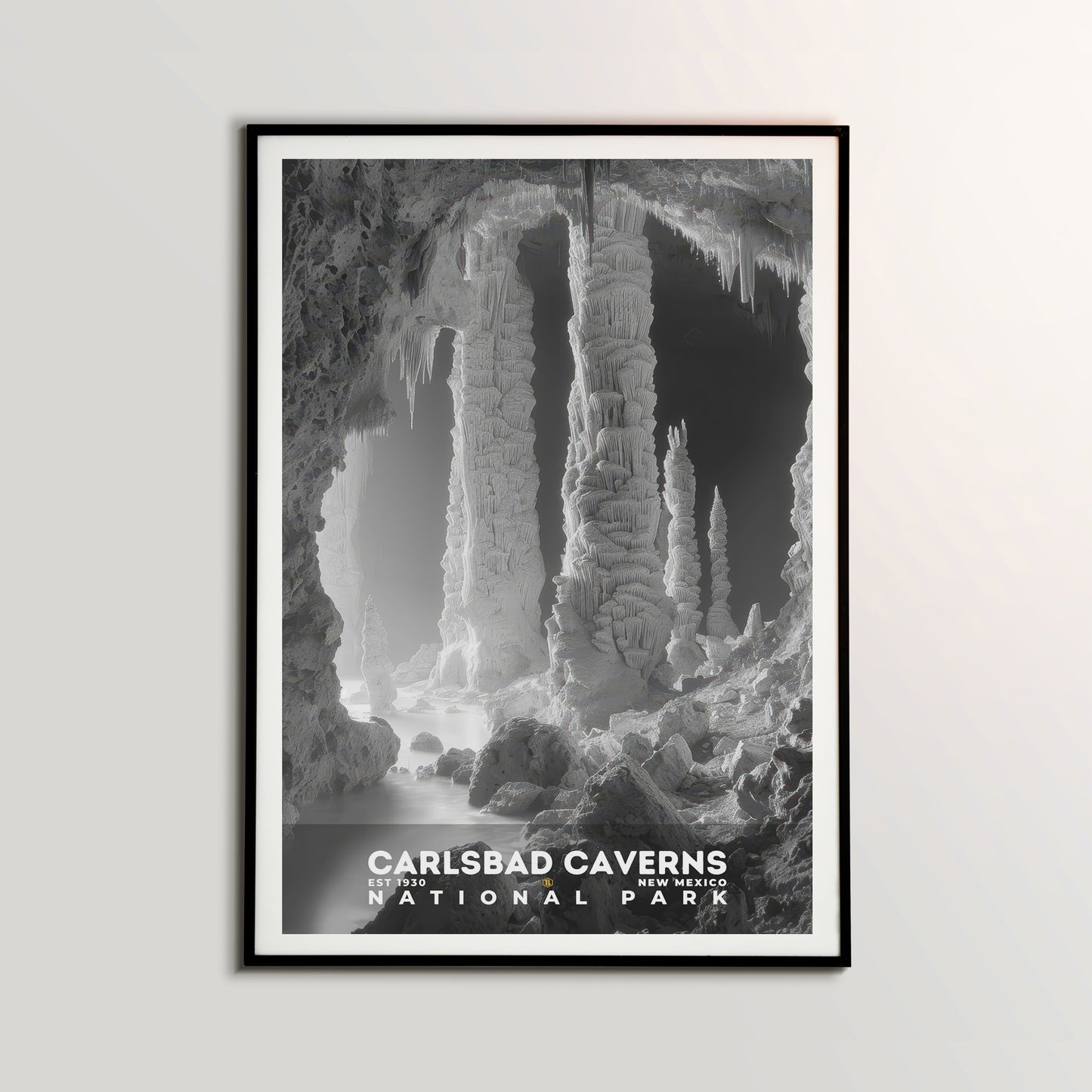 Carlsbad Caverns National Park Poster | S15